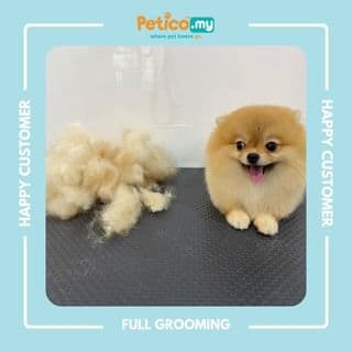 Petico on Instagram