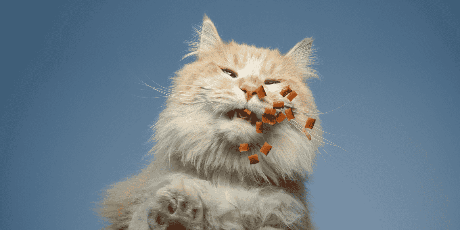Types of Cat Snacks & How to Choose