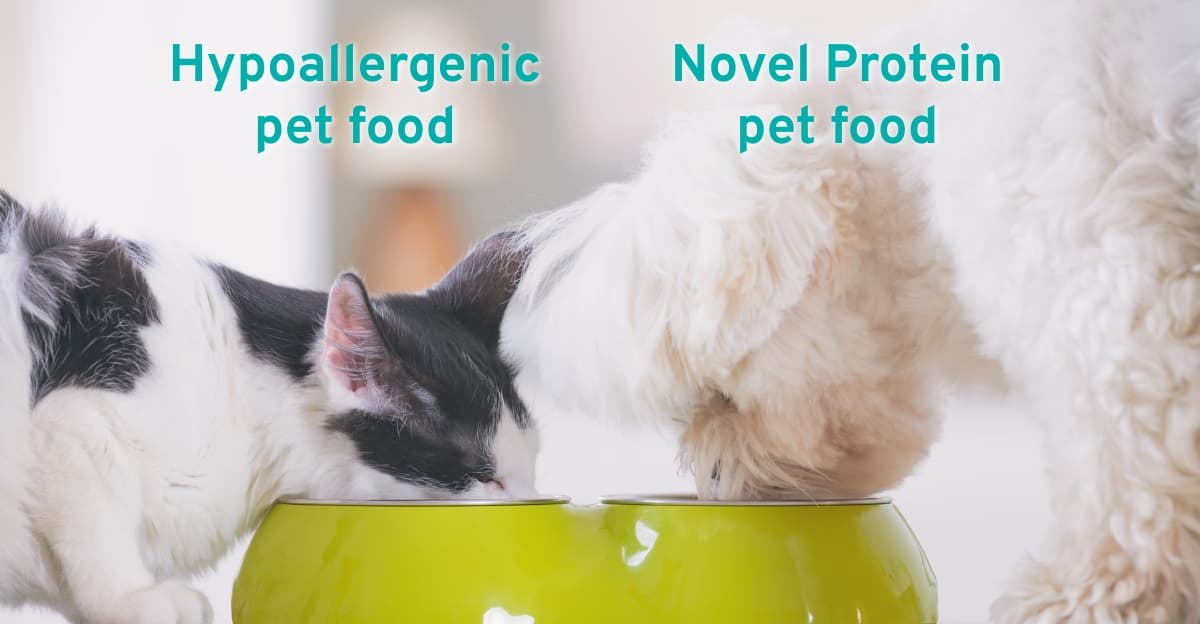The Difference Good Food Makes: How to Choose the Best Hypoallergenic and Novel Protein Food for Dogs & Cats